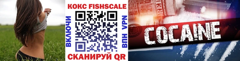 КОКАИН Fish Scale  ОМГ ОМГ ССЫЛКА  Пустошка 