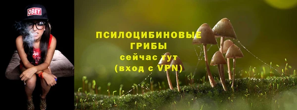 гашиш Арсеньев