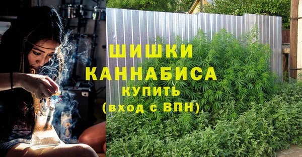 MESCALINE Аркадак