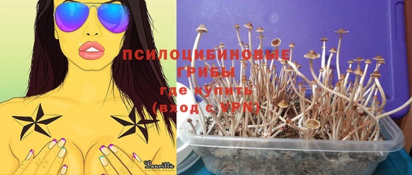 таблы Алексеевка