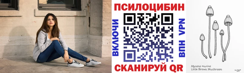 Галлюциногенные грибы Psilocybine cubensis  Пустошка 